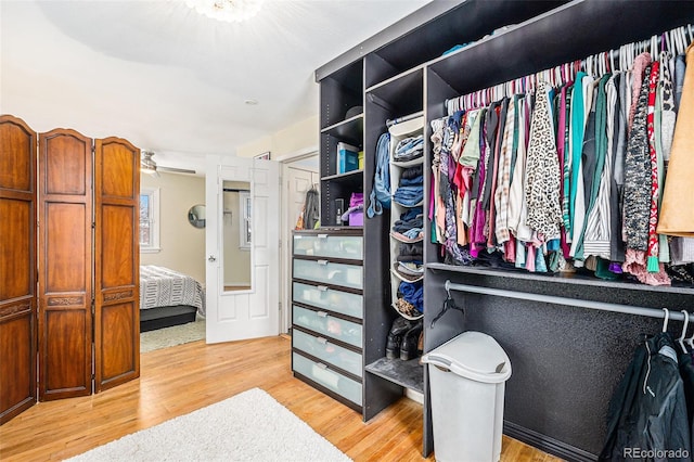 spacious closet with light hardwood / wood-style floors