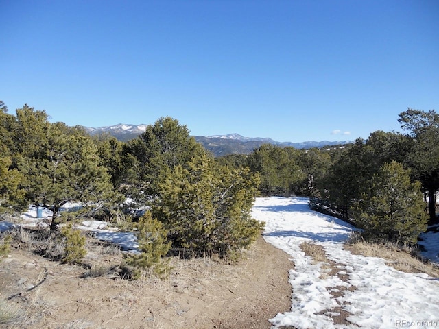 Listing photo 3 for 5460 Greenhorn Cir, Salida CO 81201