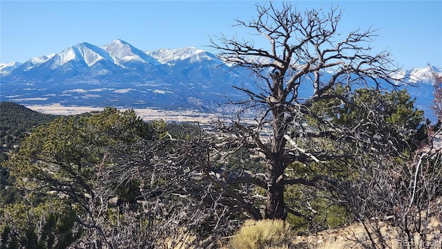 Listing photo 2 for 5460 Greenhorn Cir, Salida CO 81201