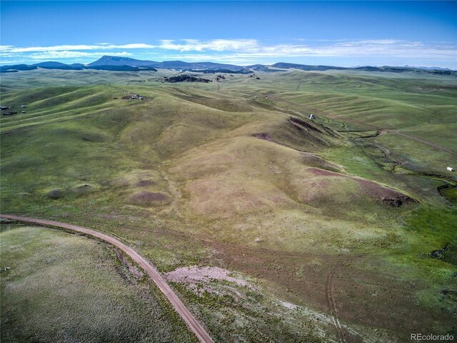 313 Watonga Trl, Hartsel, CO 80449 - photo 26