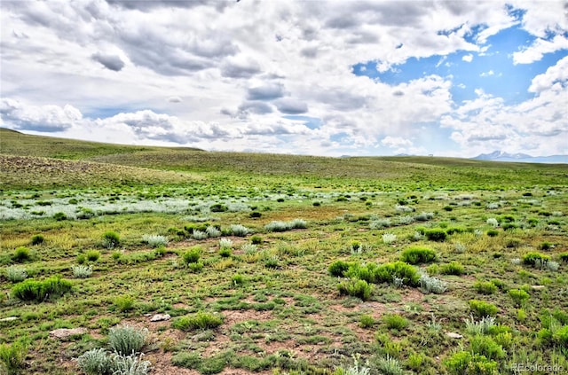 313 Watonga Trl, Hartsel, CO 80449 - photo 2