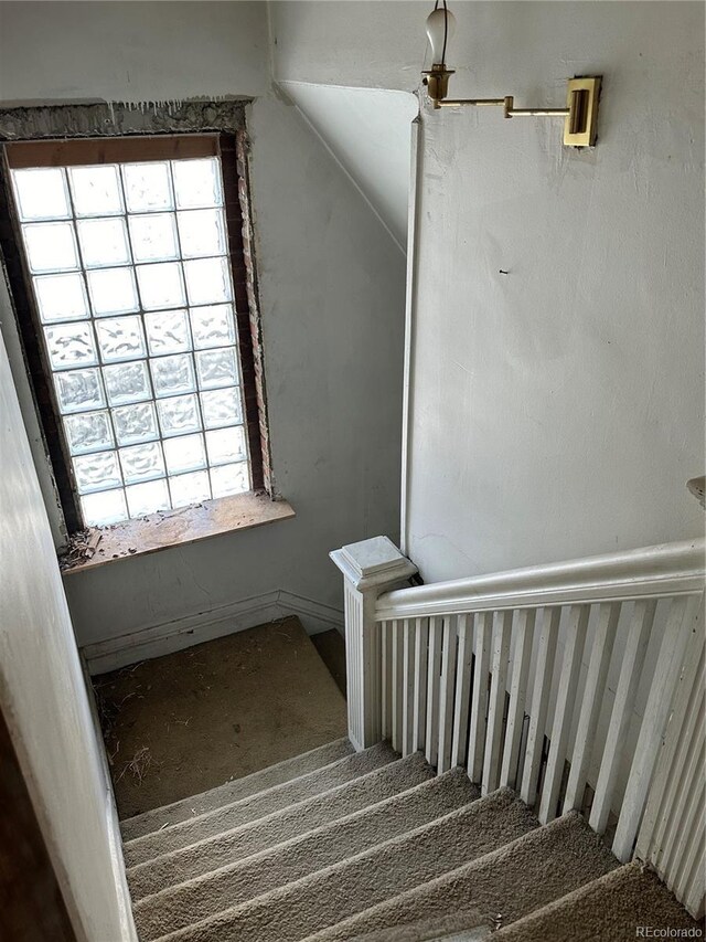 stairs with carpet flooring