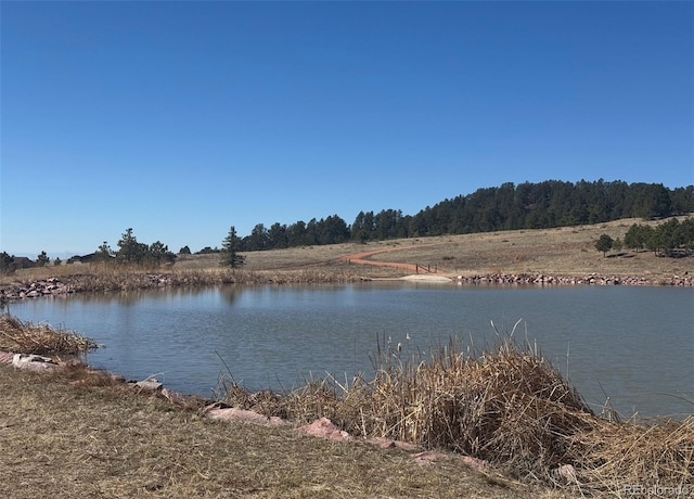 17950 Cumbres Rd, Peyton, CO 80831 - water view