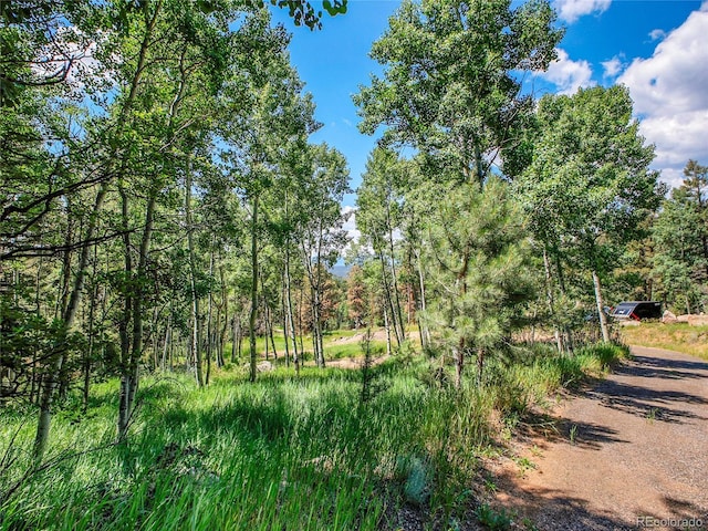 12286 Styve Rd, Conifer, CO 80433 - photo 1