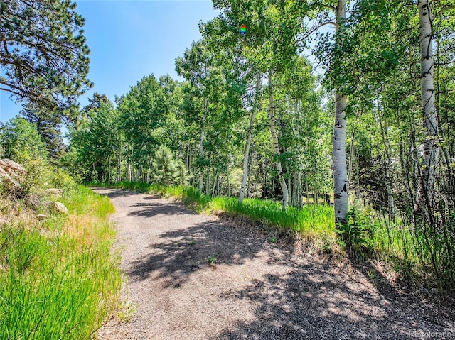 12286 Styve Rd, Conifer, CO 80433 - photo 2