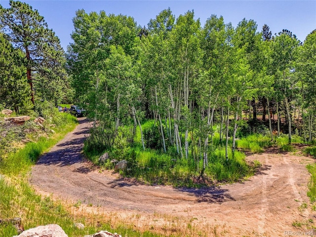 12286 Styve Rd, Conifer, CO 80433 - photo 3