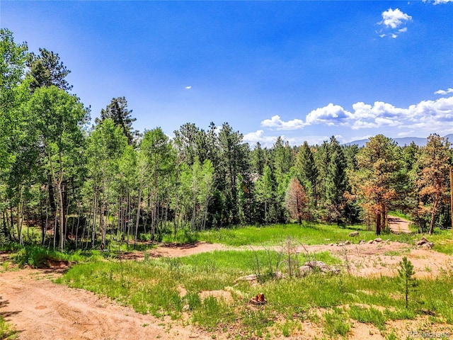 12286 Styve Rd, Conifer, CO 80433 - photo 5