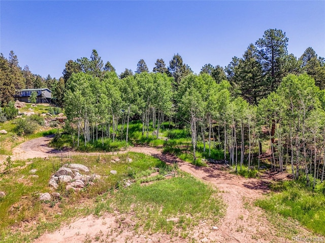 12286 Styve Rd, Conifer, CO 80433 - photo 6