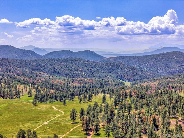 12286 Styve Rd, Conifer, CO 80433 - photo 7