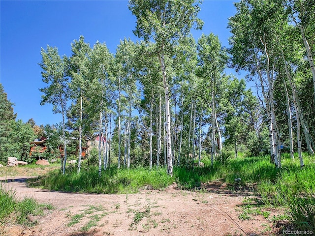 12286 Styve Rd, Conifer, CO 80433 - photo 8