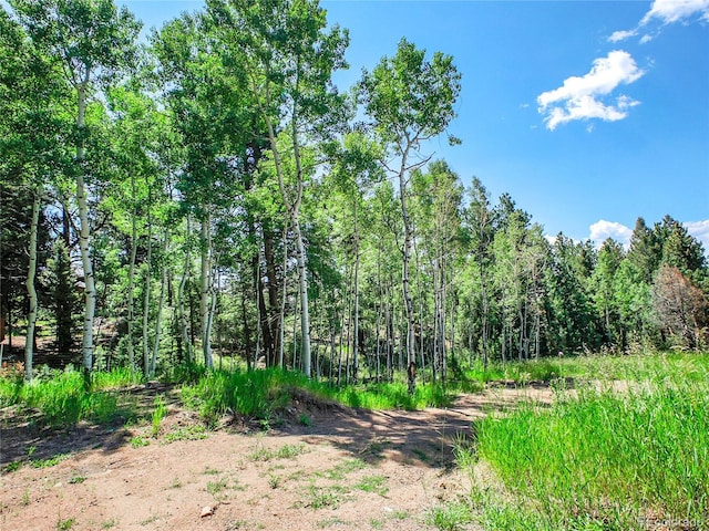 12286 Styve Rd, Conifer, CO 80433 - photo 9