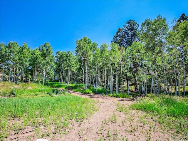 12286 Styve Rd, Conifer, CO 80433 - photo 11