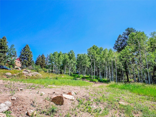12286 Styve Rd, Conifer, CO 80433 - photo 12