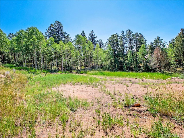 12286 Styve Rd, Conifer, CO 80433 - photo 14