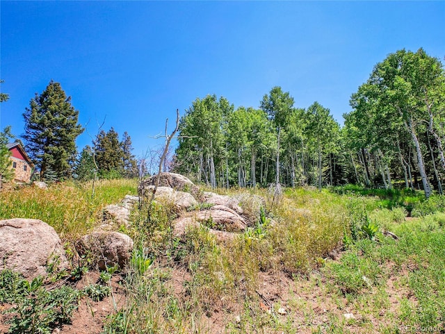 12286 Styve Rd, Conifer, CO 80433 - photo 15