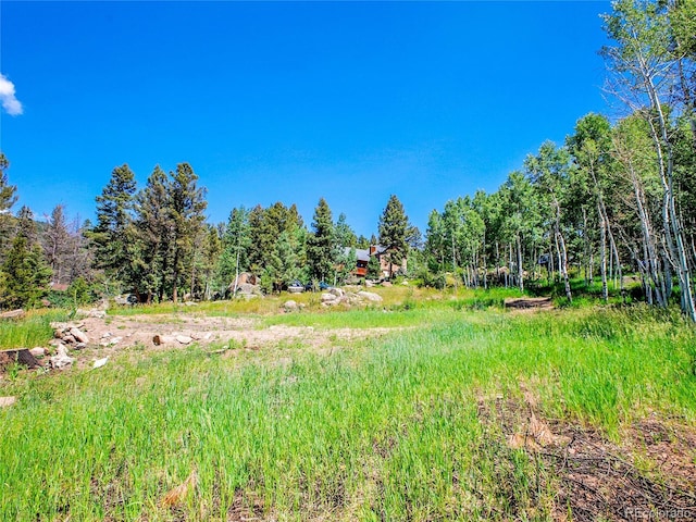 12286 Styve Rd, Conifer, CO 80433 - photo 16