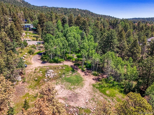 12286 Styve Rd, Conifer, CO 80433 - photo 17