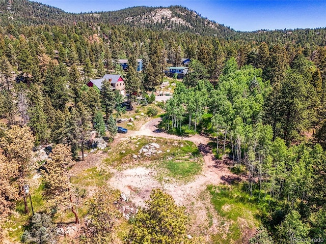 12286 Styve Rd, Conifer, CO 80433 - photo 18