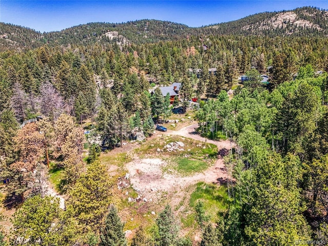 12286 Styve Rd, Conifer, CO 80433 - photo 19