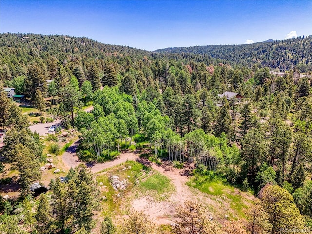 12286 Styve Rd, Conifer, CO 80433 - photo 20