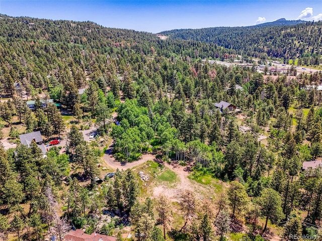 12286 Styve Rd, Conifer, CO 80433 - photo 21