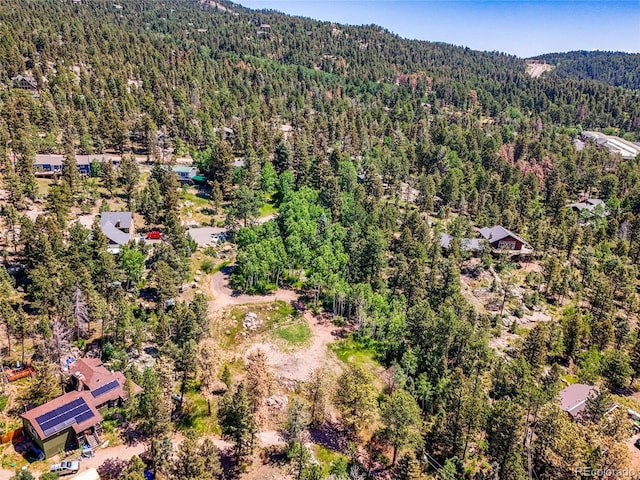 12286 Styve Rd, Conifer, CO 80433 - photo 22