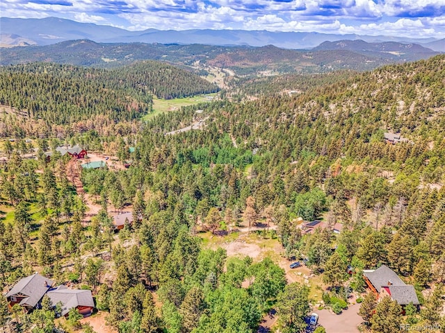 12286 Styve Rd, Conifer, CO 80433 - photo 25