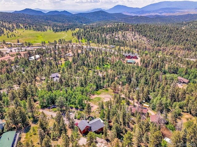 12286 Styve Rd, Conifer, CO 80433 - photo 26