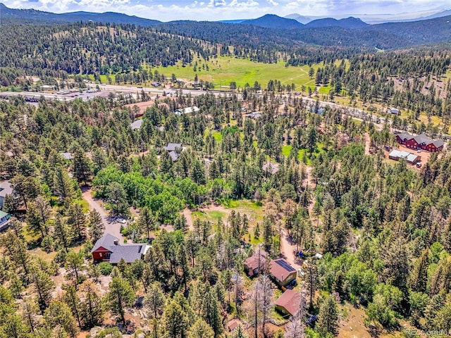 12286 Styve Rd, Conifer, CO 80433 - photo 27