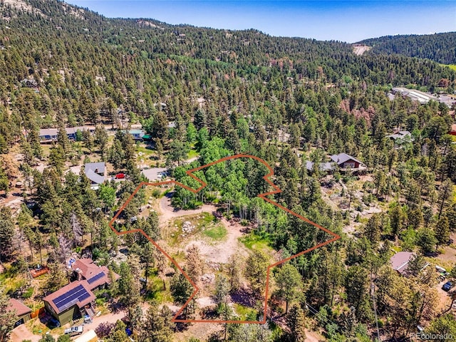 12286 Styve Rd, Conifer, CO 80433 - photo 28