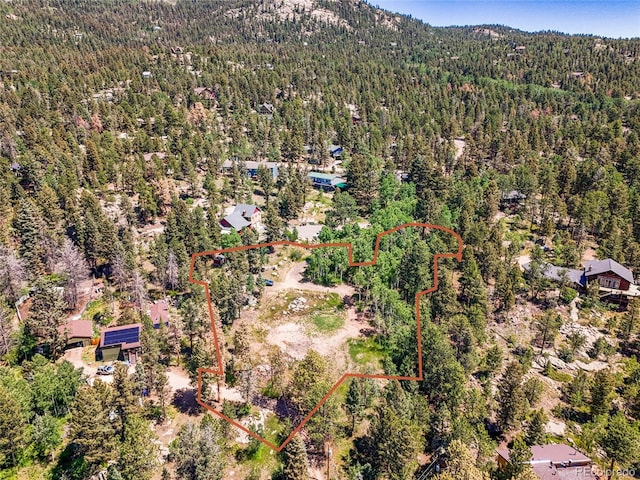 12286 Styve Rd, Conifer, CO 80433 - photo 29