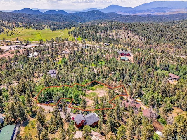 12286 Styve Rd, Conifer, CO 80433 - photo 30