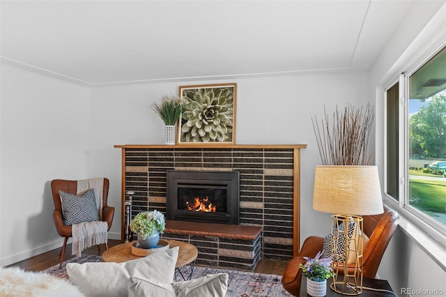 4100 Shaw Blvd, Westminster, CO 80031 - living area with wood finished floors and a glass covered fireplace