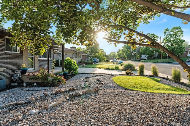 4100 Shaw Blvd, Westminster, CO 80031 - view of yard