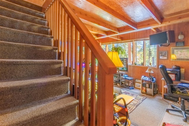 337 Gcr 6482, Grand Lake, CO 80447 - photo 15