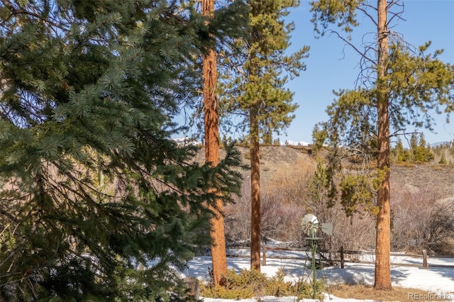 337 Gcr 6482, Grand Lake, CO 80447 - photo 30