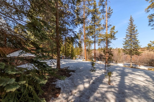 337 Gcr 6482, Grand Lake, CO 80447 - photo 32