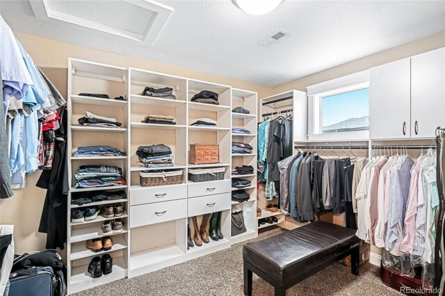 walk in closet with carpet