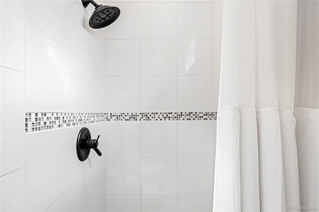 interior details featuring walk in shower