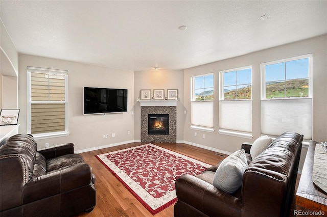 6173 Eldora St, Golden, CO 80403 - living room featuring wood finished floors, a glass covered fireplace, and baseboards