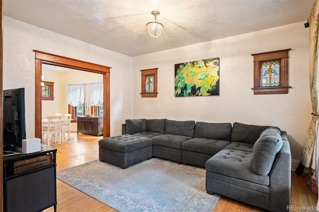 1430 Monroe St, Denver, CO 80206 - living area featuring wood finished floors