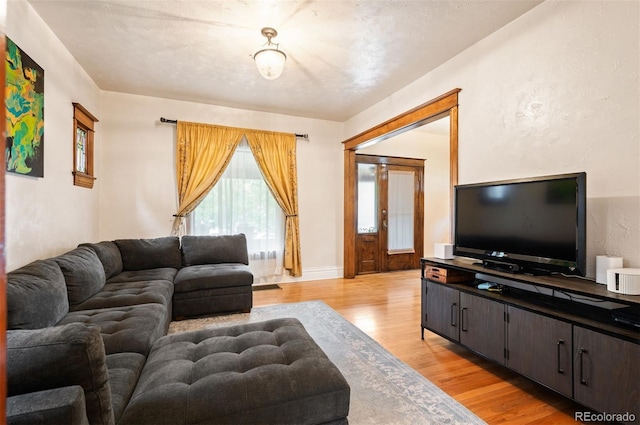 1430 Monroe St, Denver, CO 80206 - living room with light wood-style floors