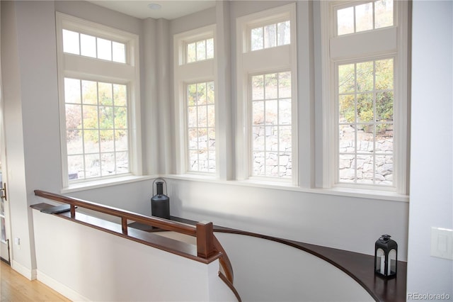 staircase featuring hardwood / wood-style flooring and a wealth of natural light