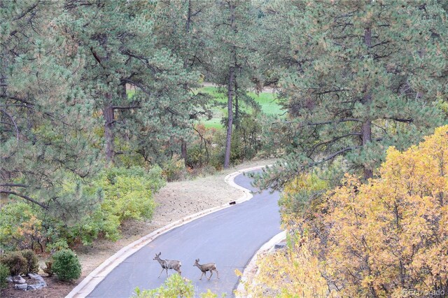 bird's eye view with a wooded view