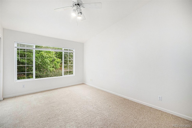 1196 Opal St Unit 201, Broomfield, CO 80020 - photo 11