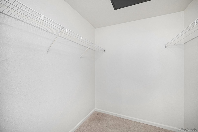 1196 Opal St Unit 201, Broomfield, CO 80020 - photo 15