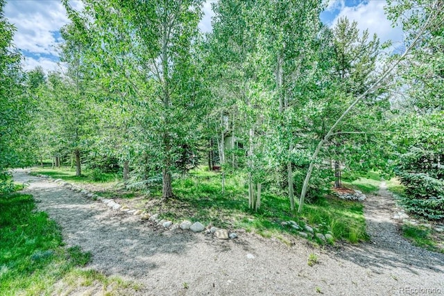 54 Audrey Cir, Breckenridge, CO 80424 - photo 27
