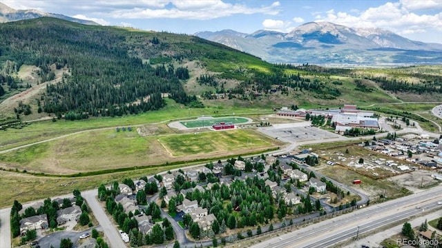 54 Audrey Cir, Breckenridge, CO 80424 - photo 29
