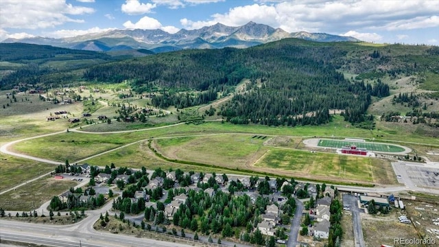 54 Audrey Cir, Breckenridge, CO 80424 - photo 30