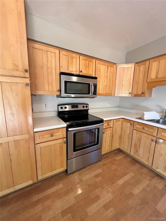 kitchen featuring sink, light wood-type flooring, and stainless steel appliances